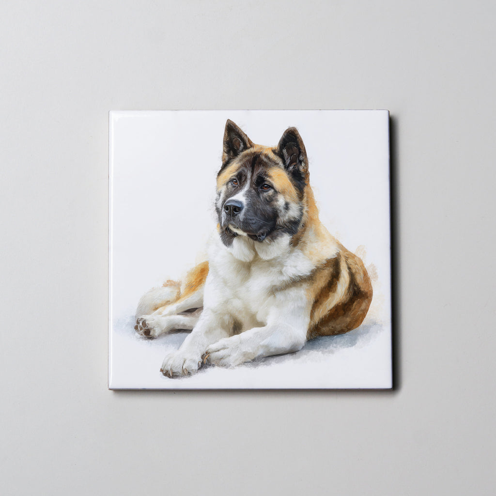 American Akita - Lying Down - Coaster