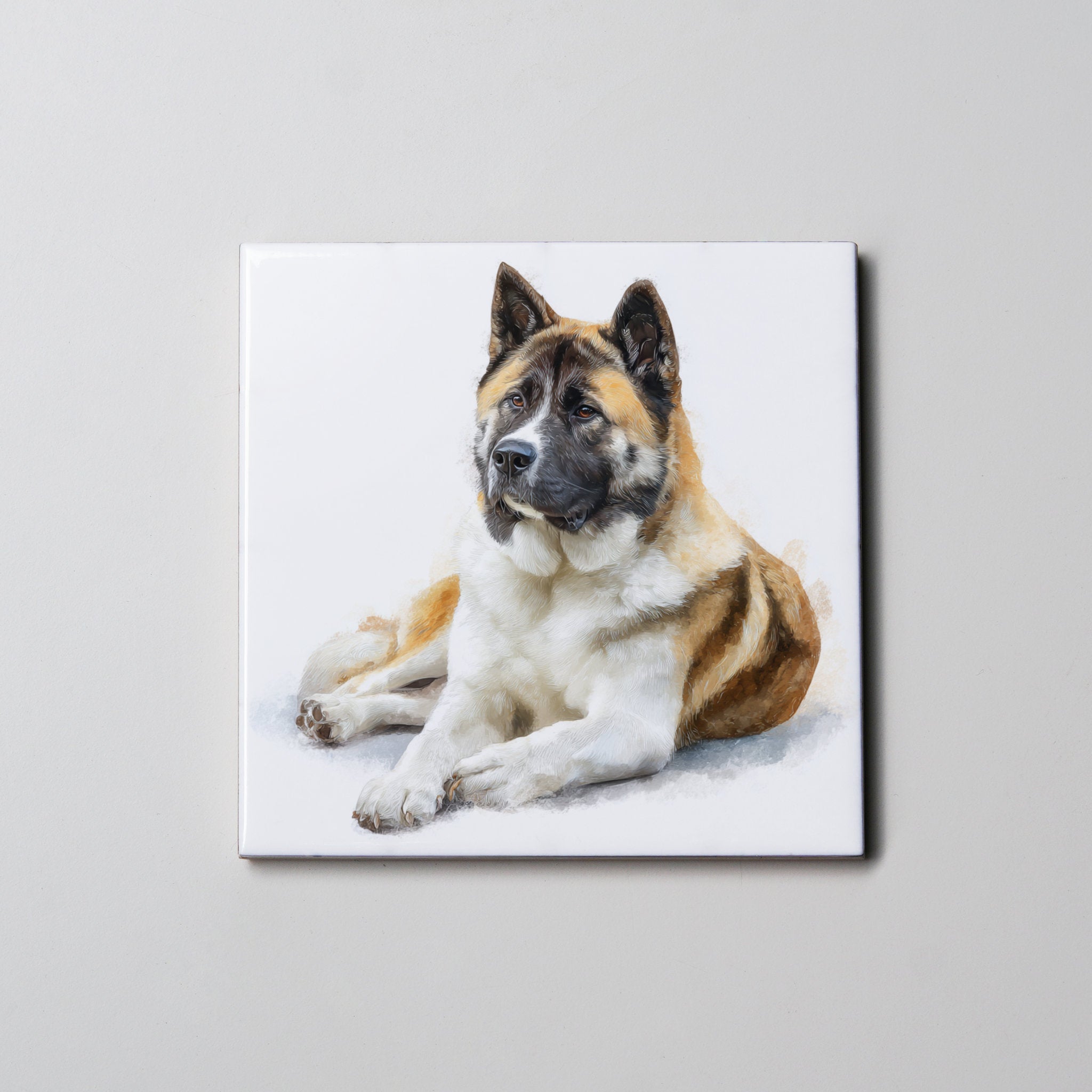 American Akita - Lying Down - Coaster