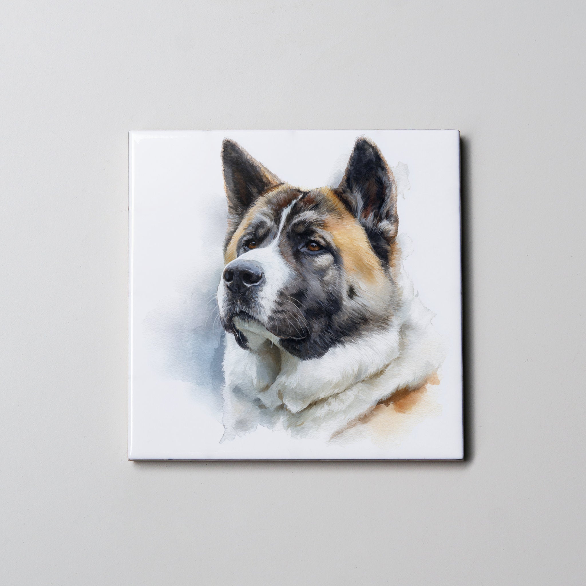 American Akita - Portrait - Coaster