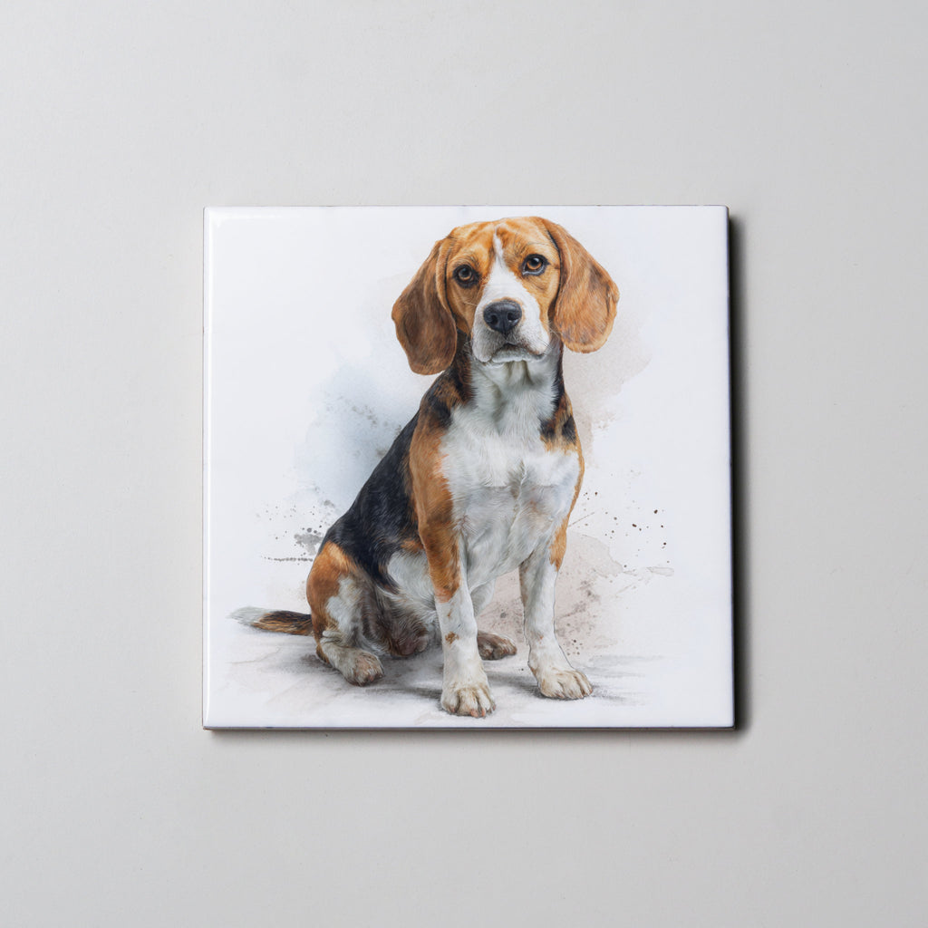 Beagle - Sitting - LL - Coaster