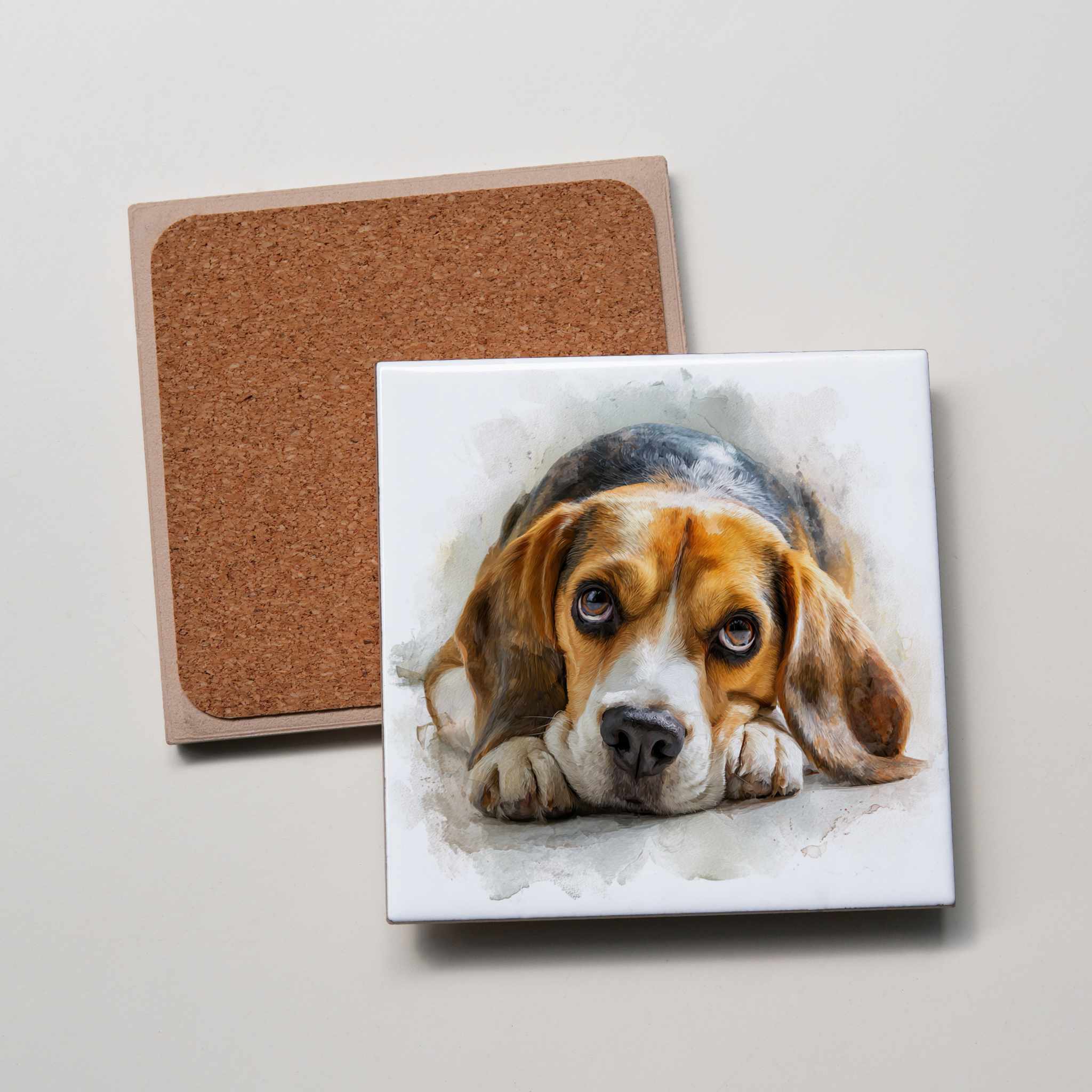 Beagle - Sitting -  Lying Down - Coaster