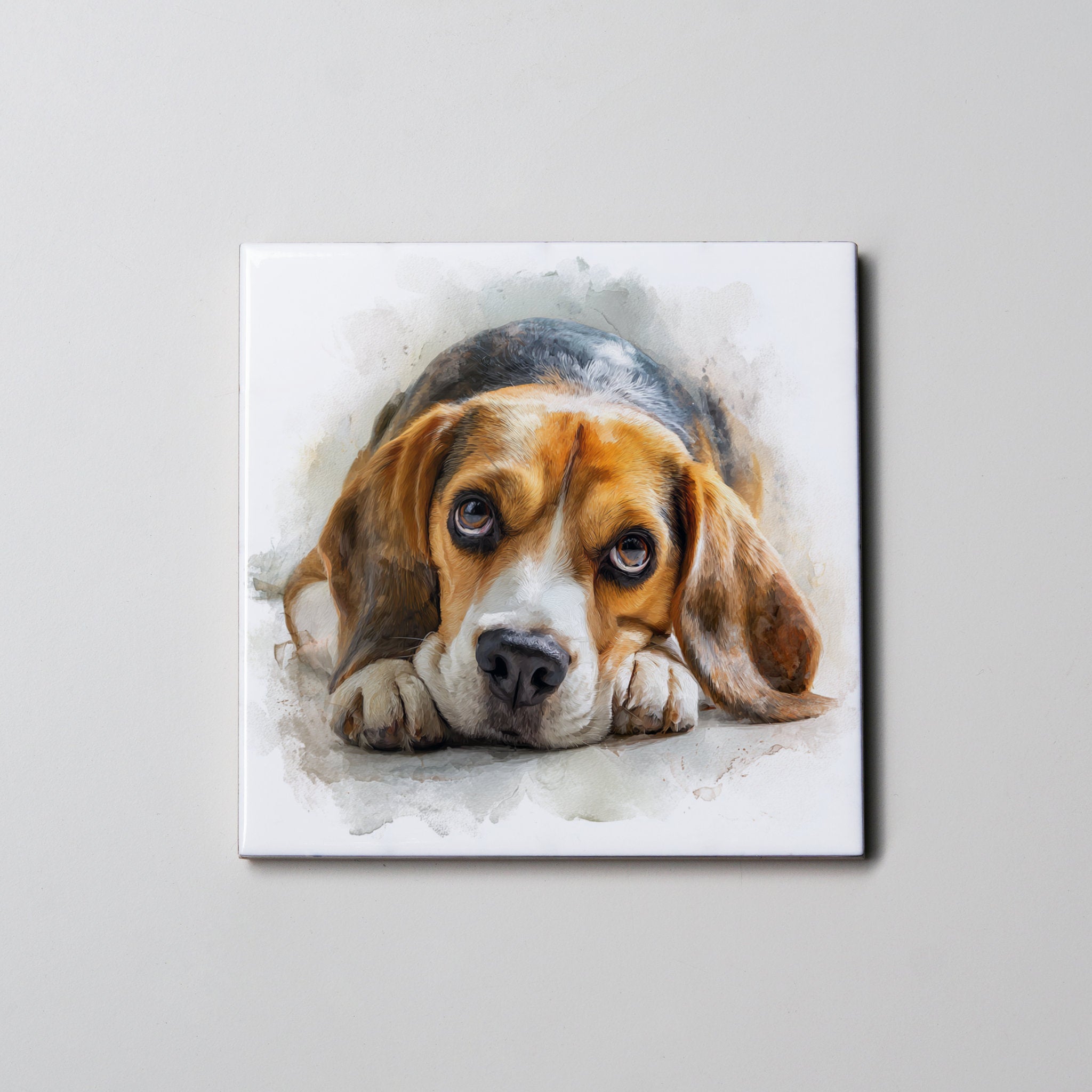 Beagle - Sitting -  Lying Down - Coaster