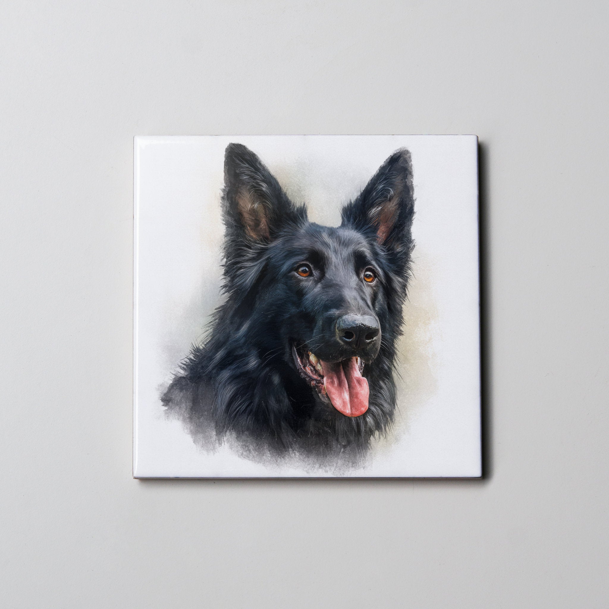 Belgian Shepherd - Coaster
