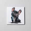 Black French Bulldog - Caricature - Coaster