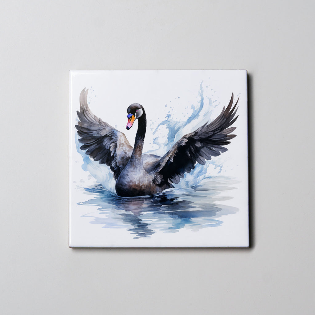 Black Swan - Coaster