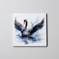 Black Swan - Coaster