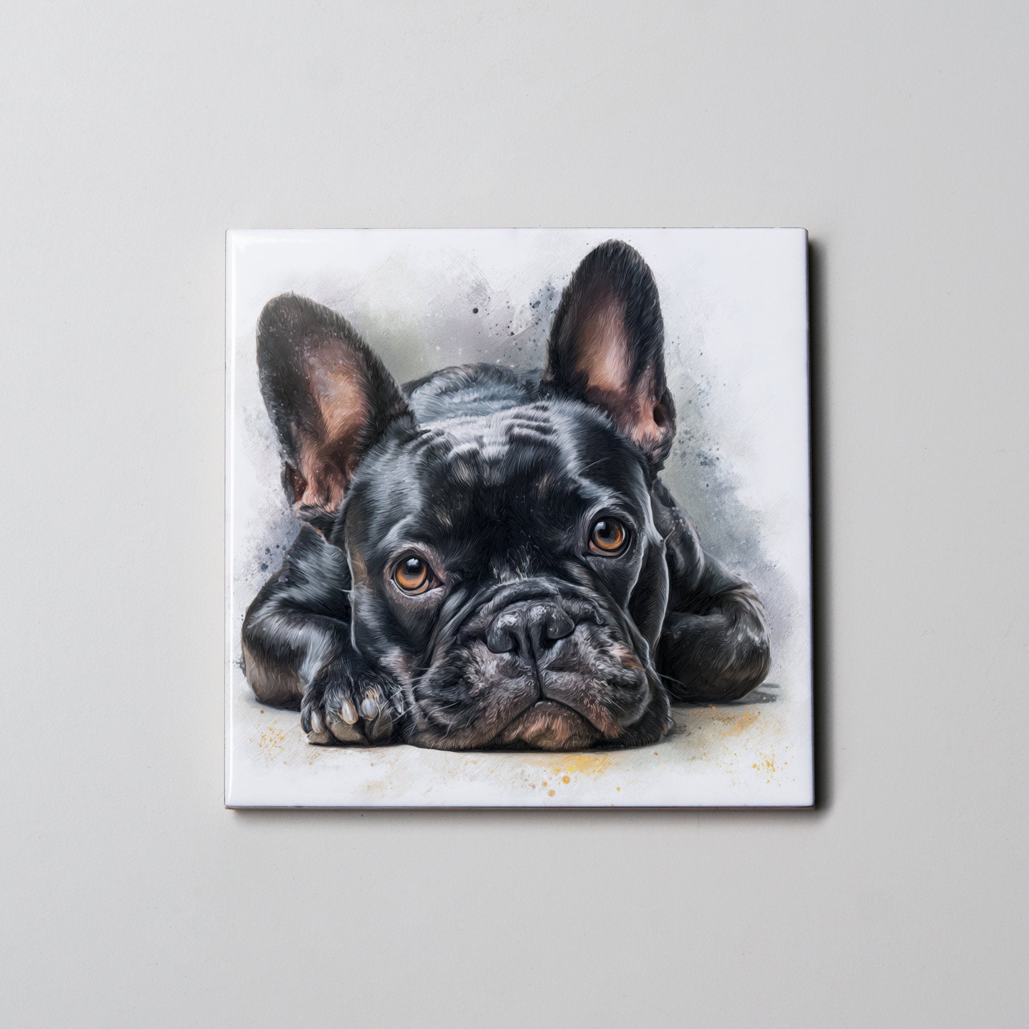 Black French Bulldog  Lying Down - Coaster