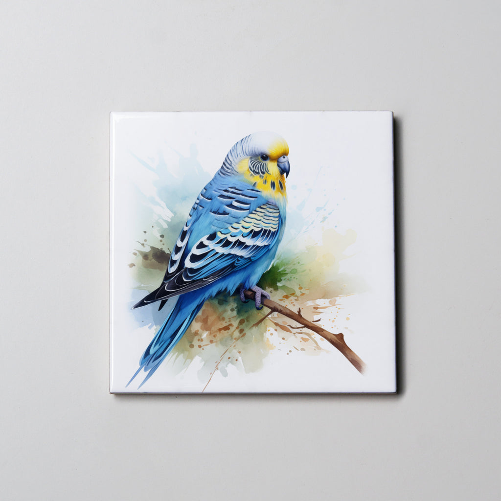 Budgie Blue FB- Coaster