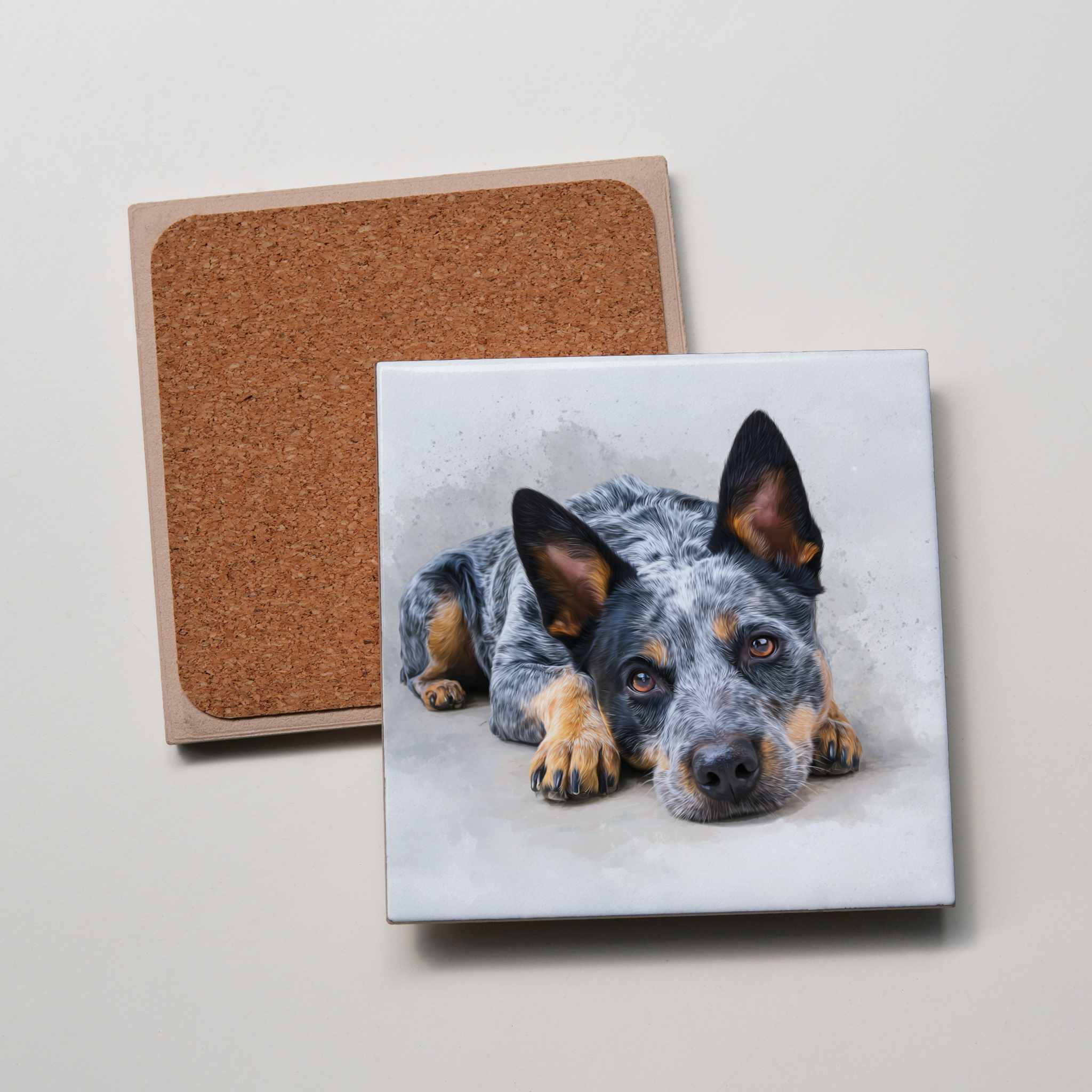 Blue Healer - Lying - HD - Coaster
