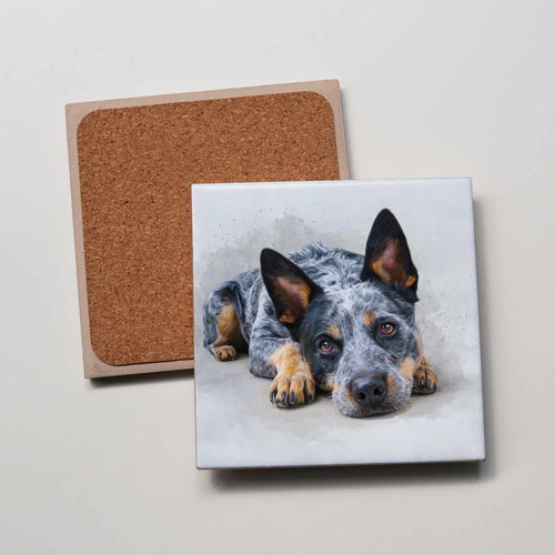 Blue Healer - Lying - HD - Coaster