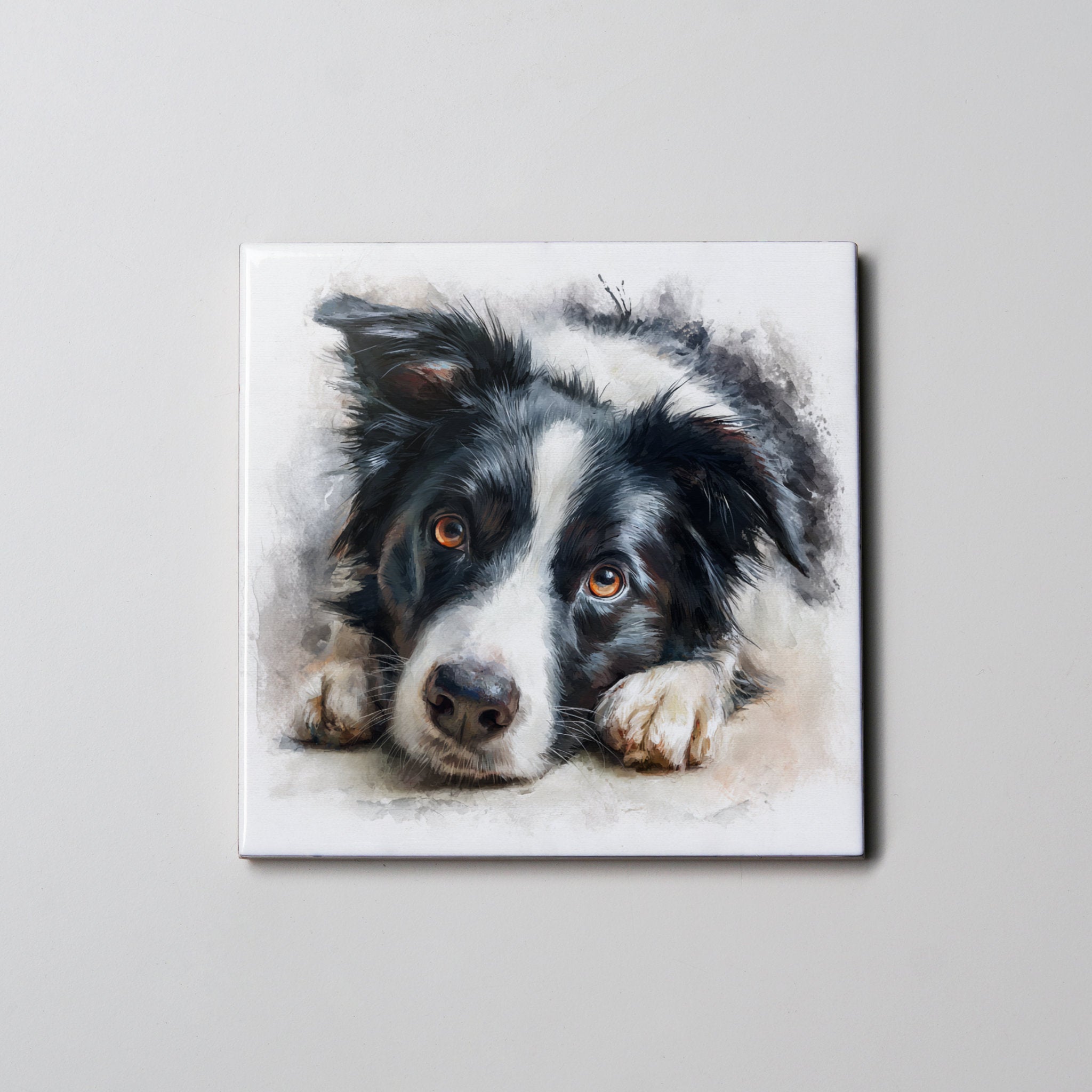 Border Collie - Black - Lying HD - Coaster