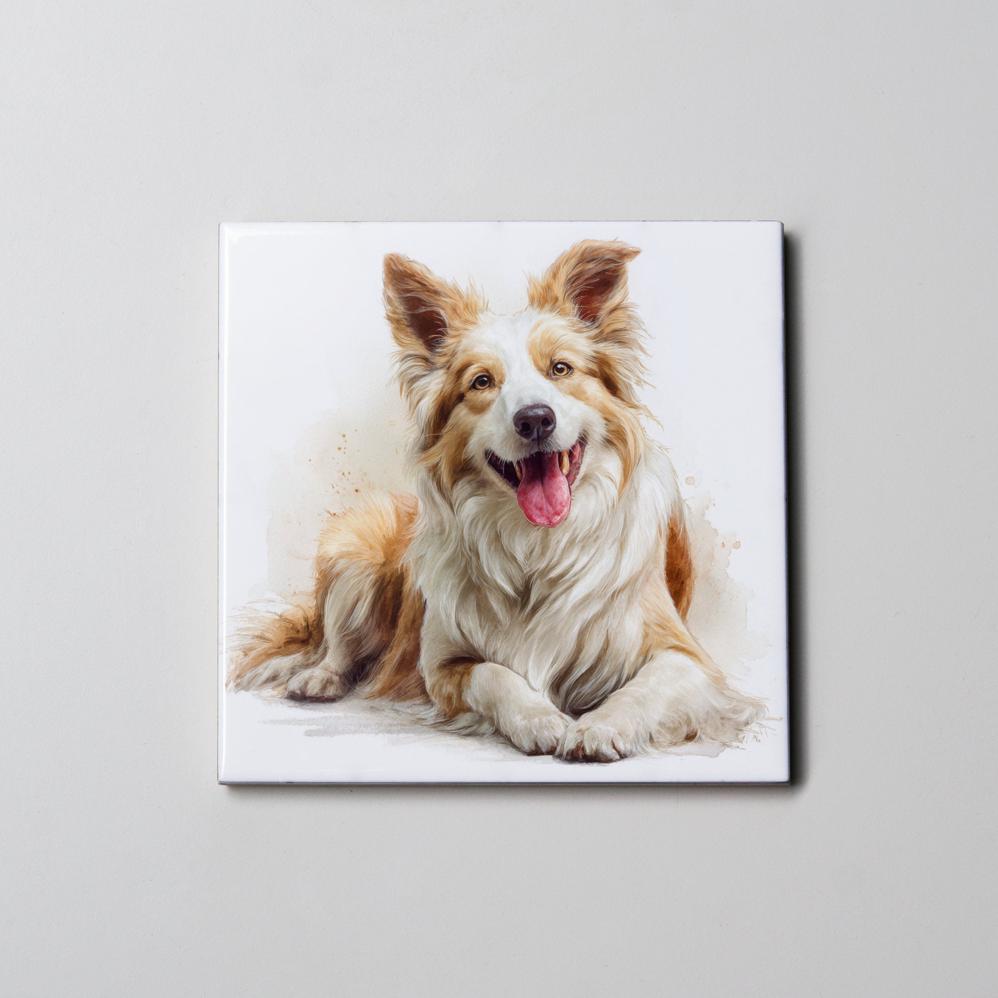 Border Collie - Caramel - Lying HU - Coaster