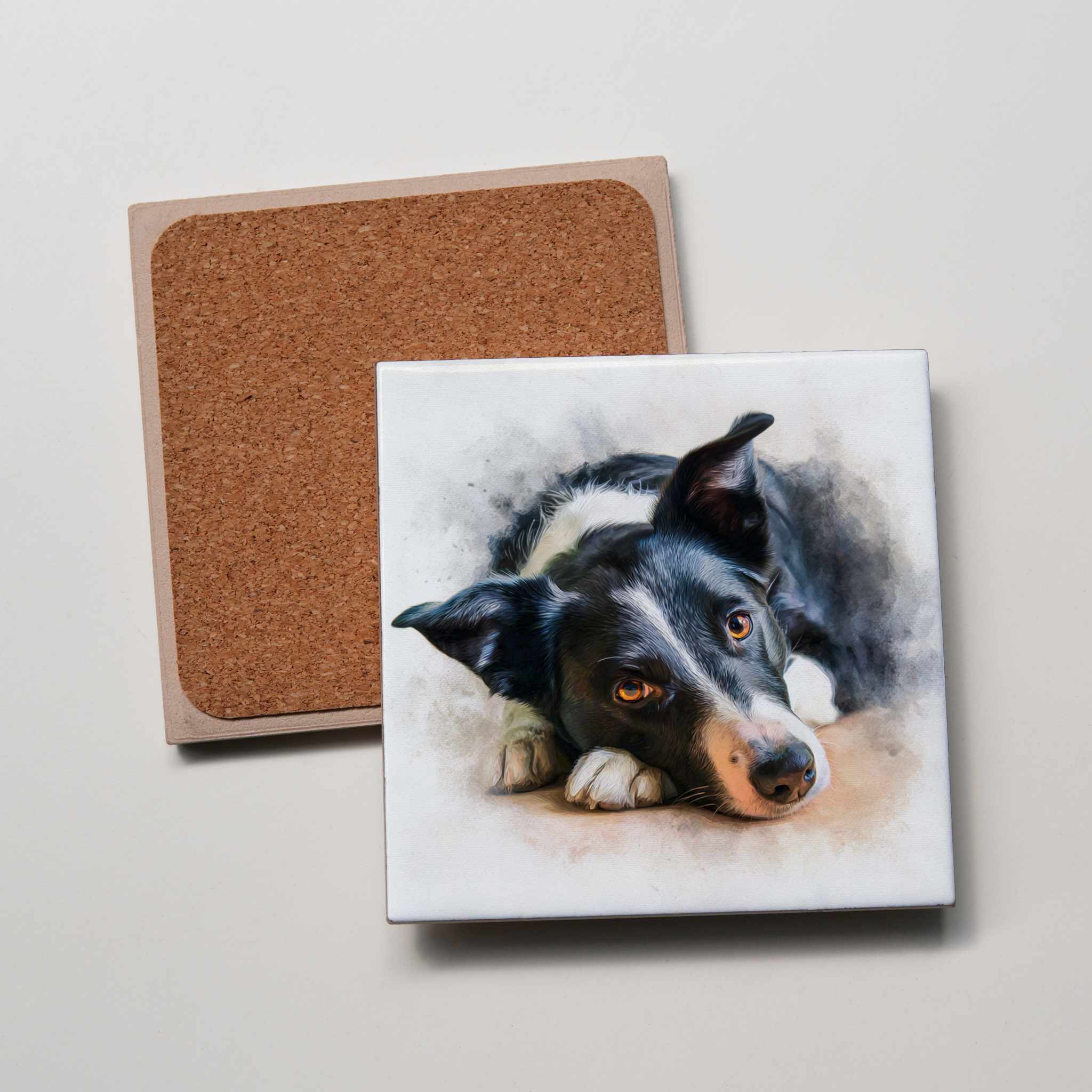 Border Collie - SH - Lying HD - Coaster