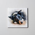 Border Collie - SH - Lying HD - Coaster