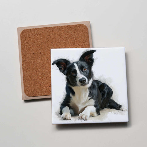 Border Collie - SH - Lying HU - Coaster