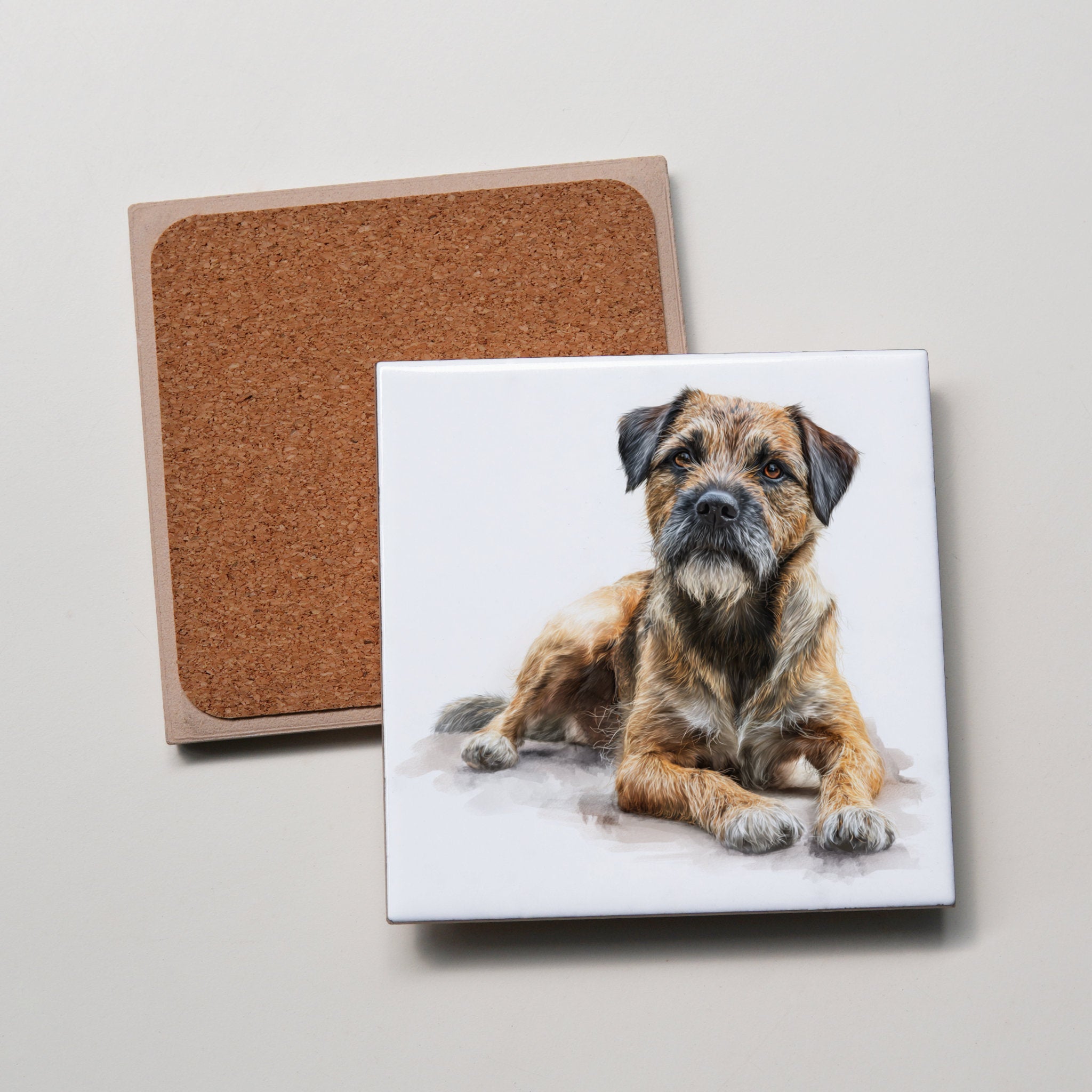 Border Terrier - Lying Down - LL - Coaster