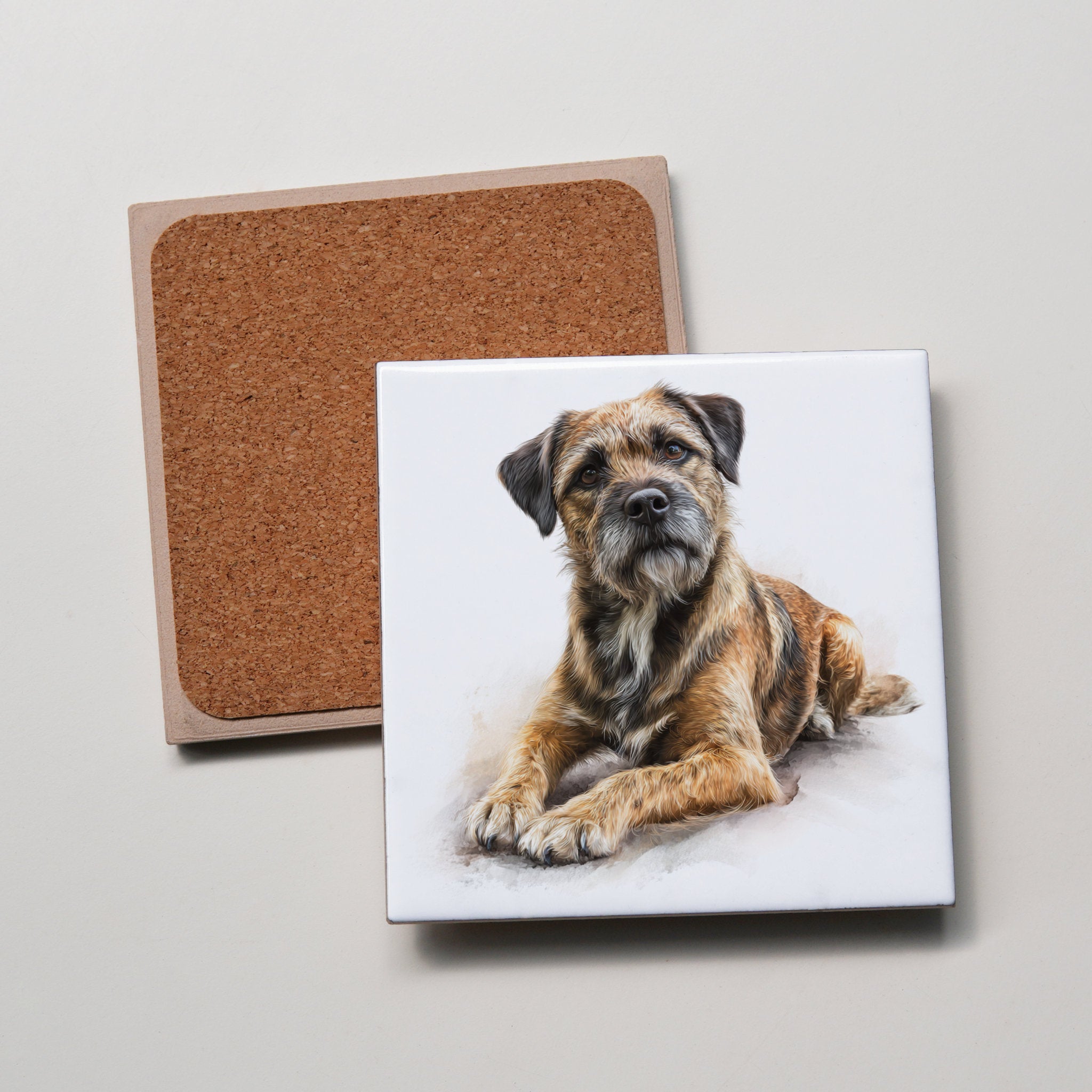 Border Terrier - Lying Down - LR - Coaster