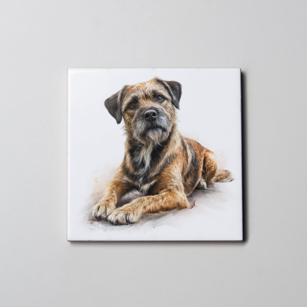 Border Terrier - Lying Down - LR - Coaster