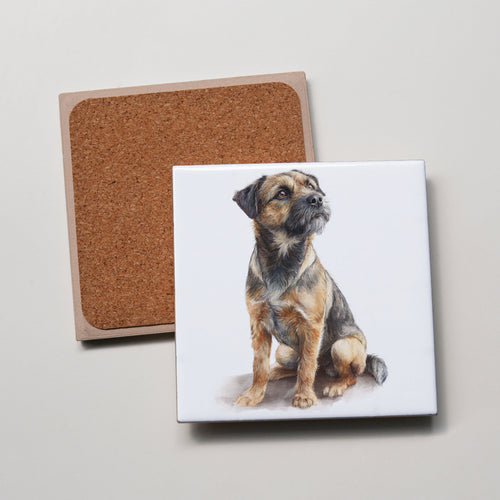 Border Terrier - Sitting - Coaster