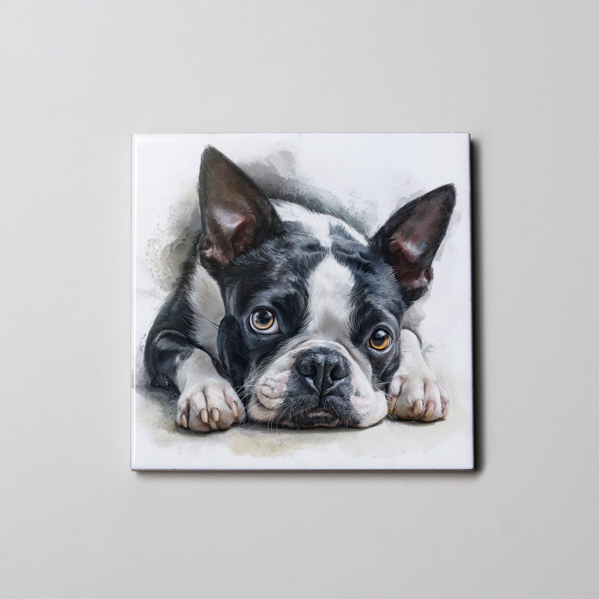 Boston Terrier - Lying HD - Coaster