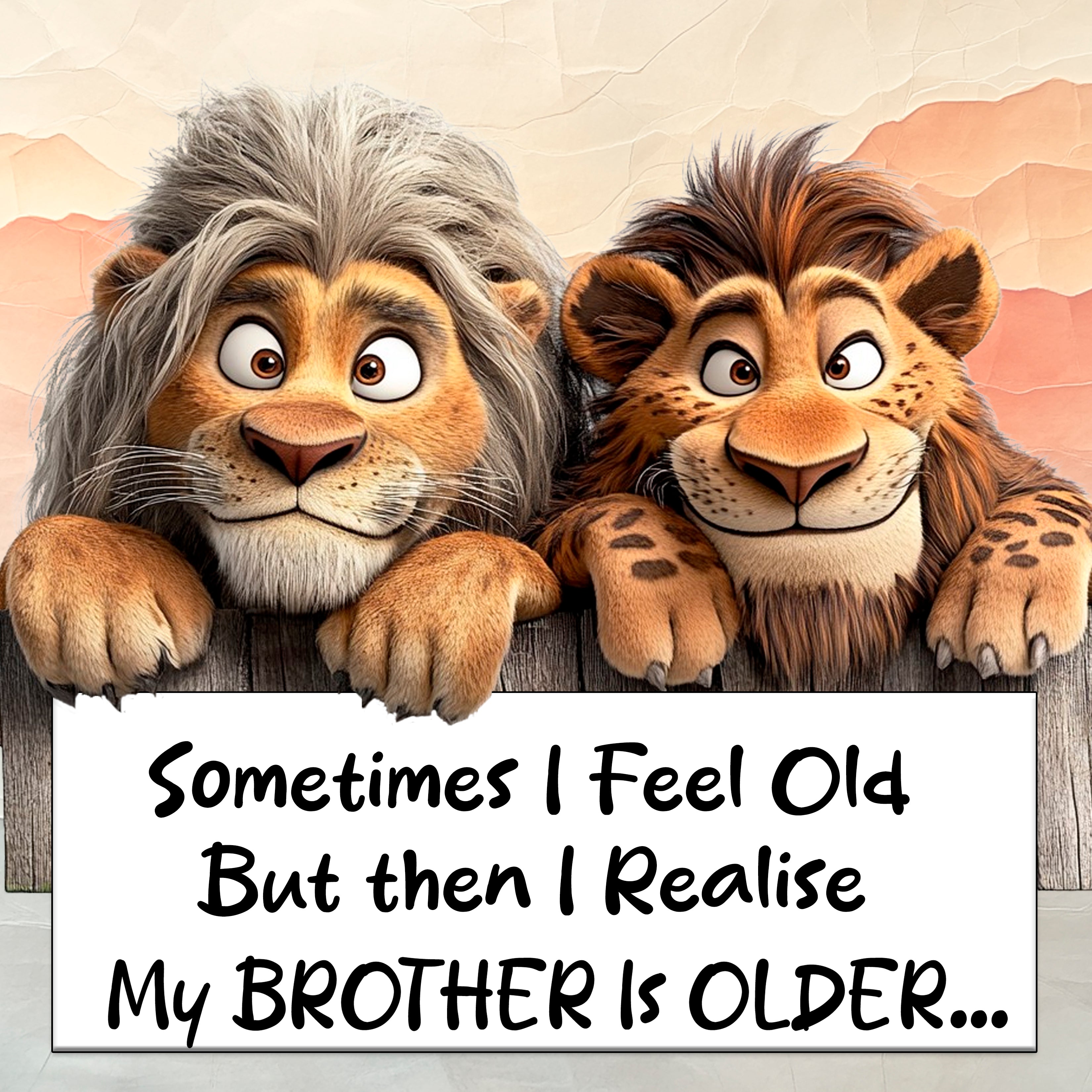 Brother is Older Coaster