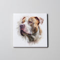 Bull Arab - Portrait - Coaster