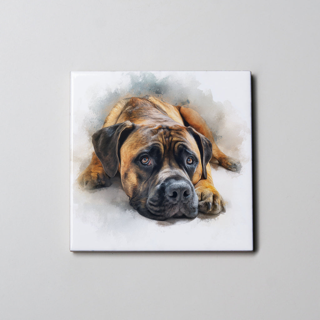 Bullmastiff - Lying Down - Coaster