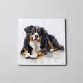Burmese Mountain Dog - LL - Coaster