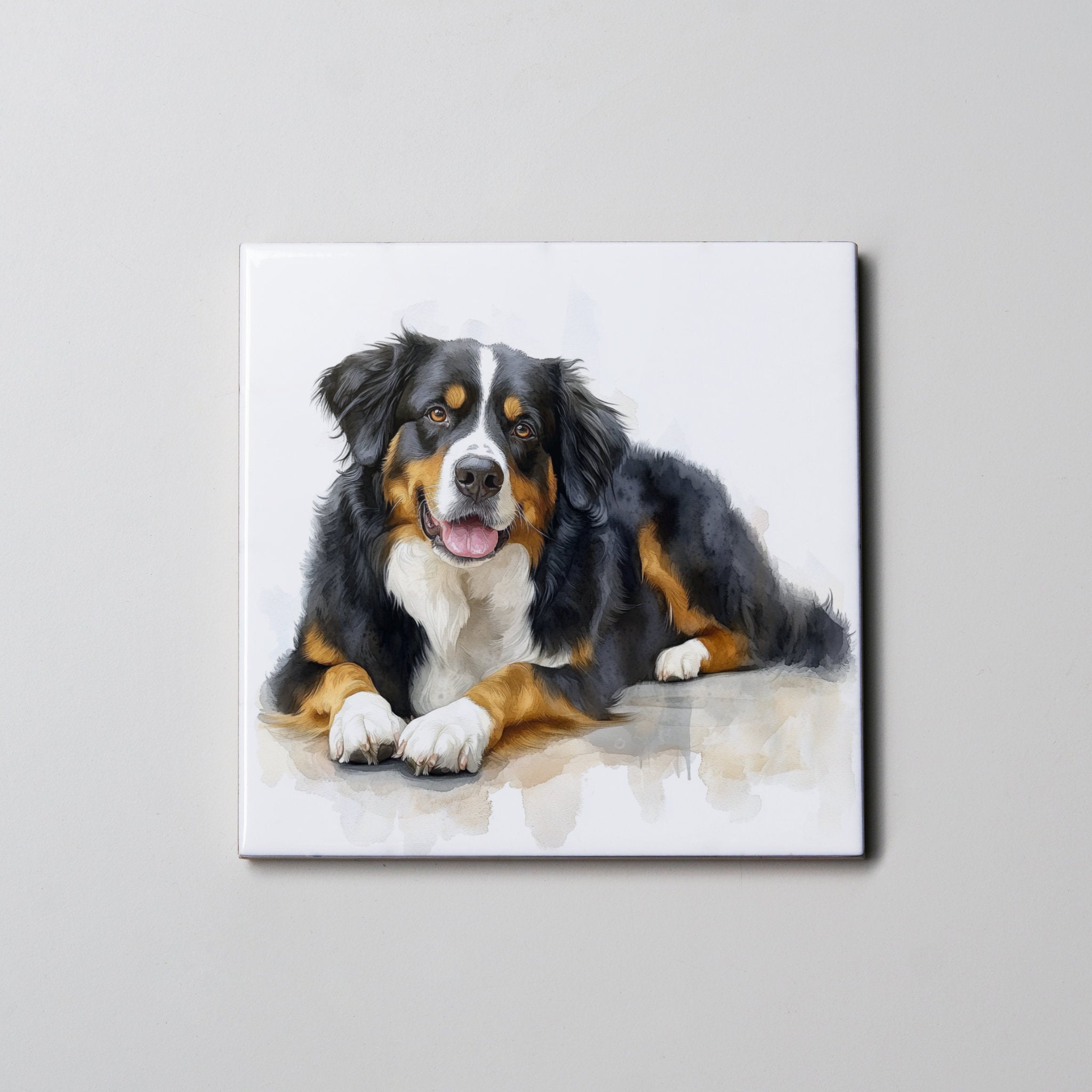 Burmese Mountain Dog - LL - Coaster
