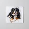 Burmese Mountain Dog - LR - Coaster