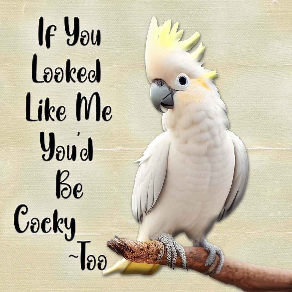 Cockatoo - Coaster