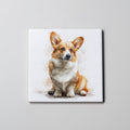 Corgi - tan - sitting - Coaster
