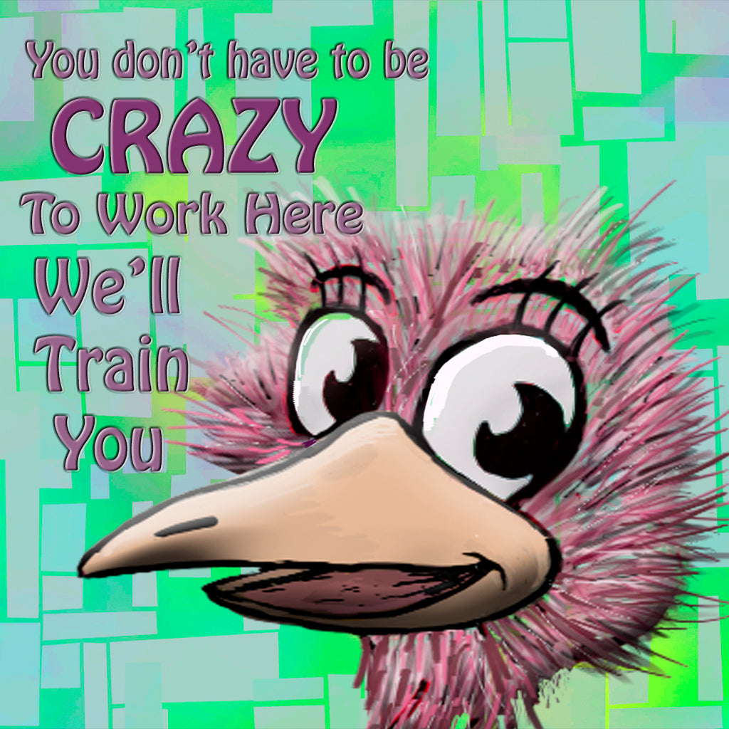 Crazy Coaster