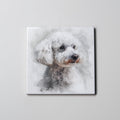 Bolognese Coaster