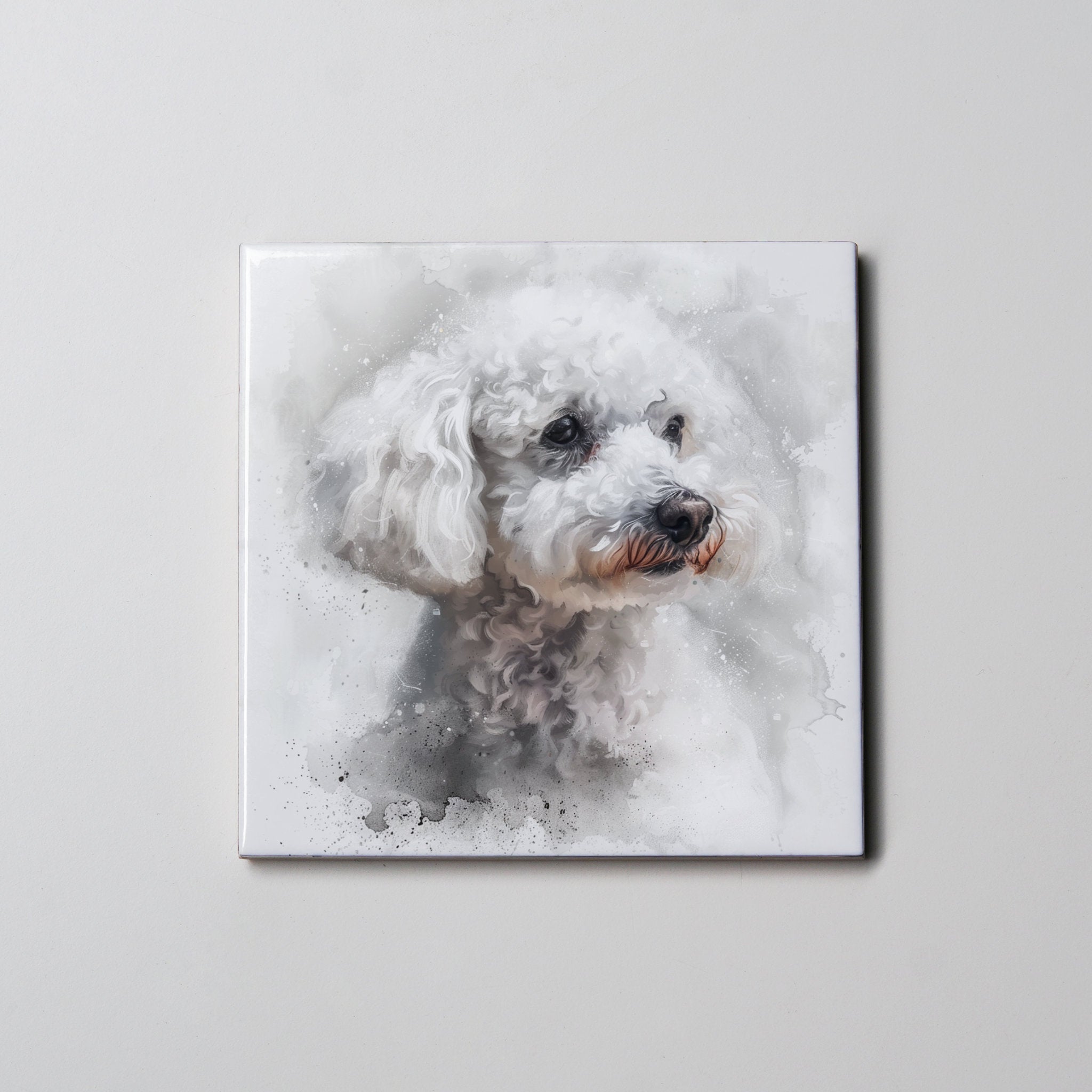 Bolognese Coaster