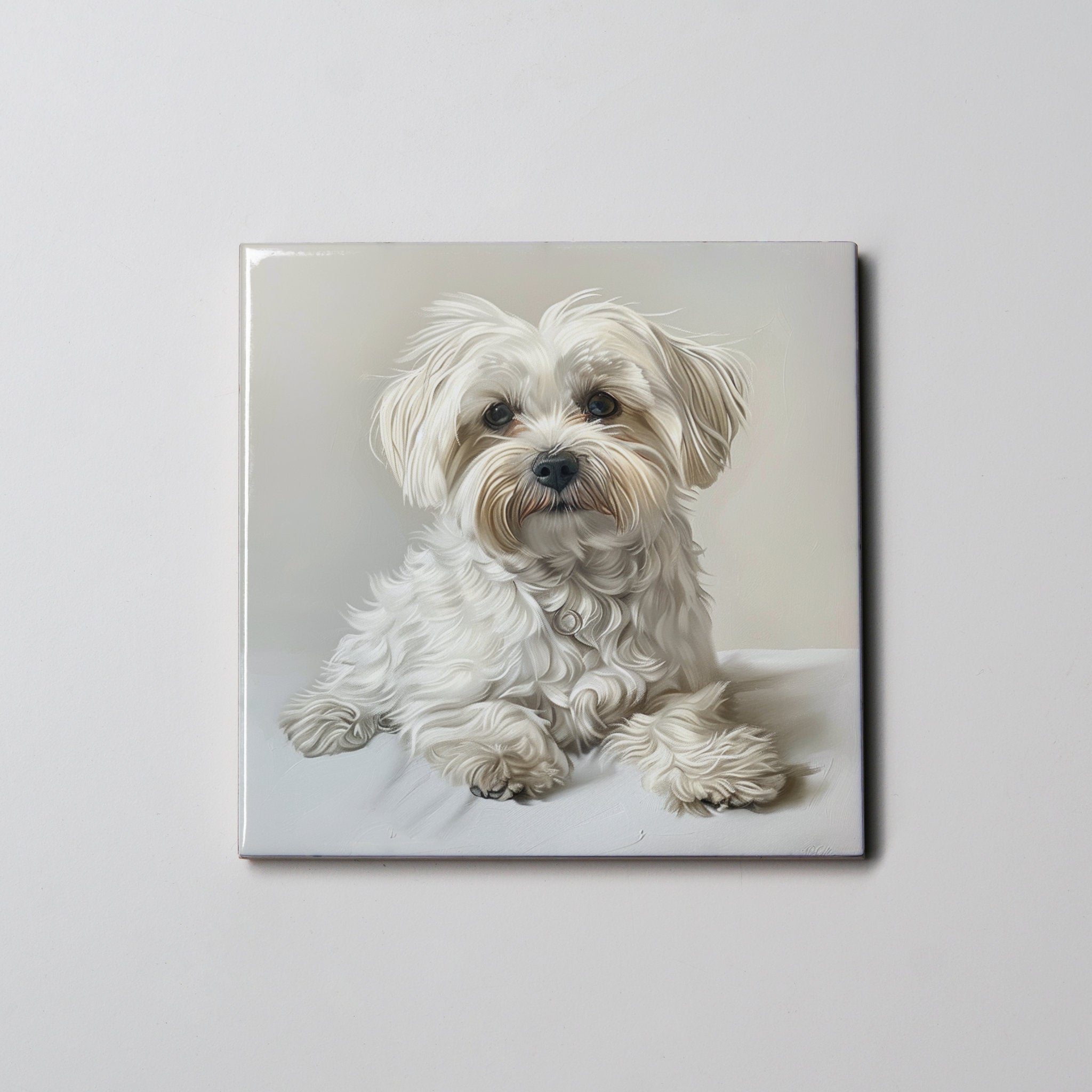 Maltese Coaster