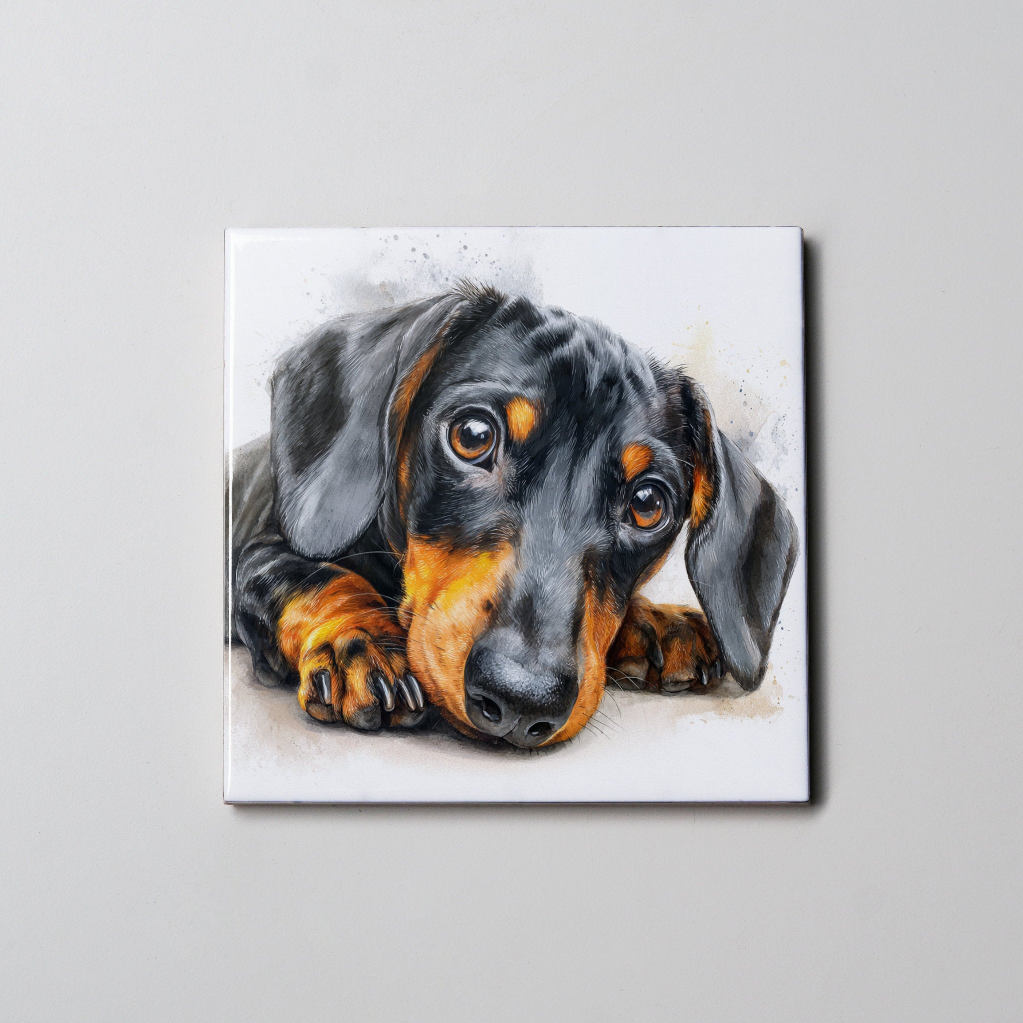 Dachshund Black & Tan LD - P - Coaster