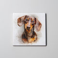 Dachshund Brown & Tan Portrait - Coaster