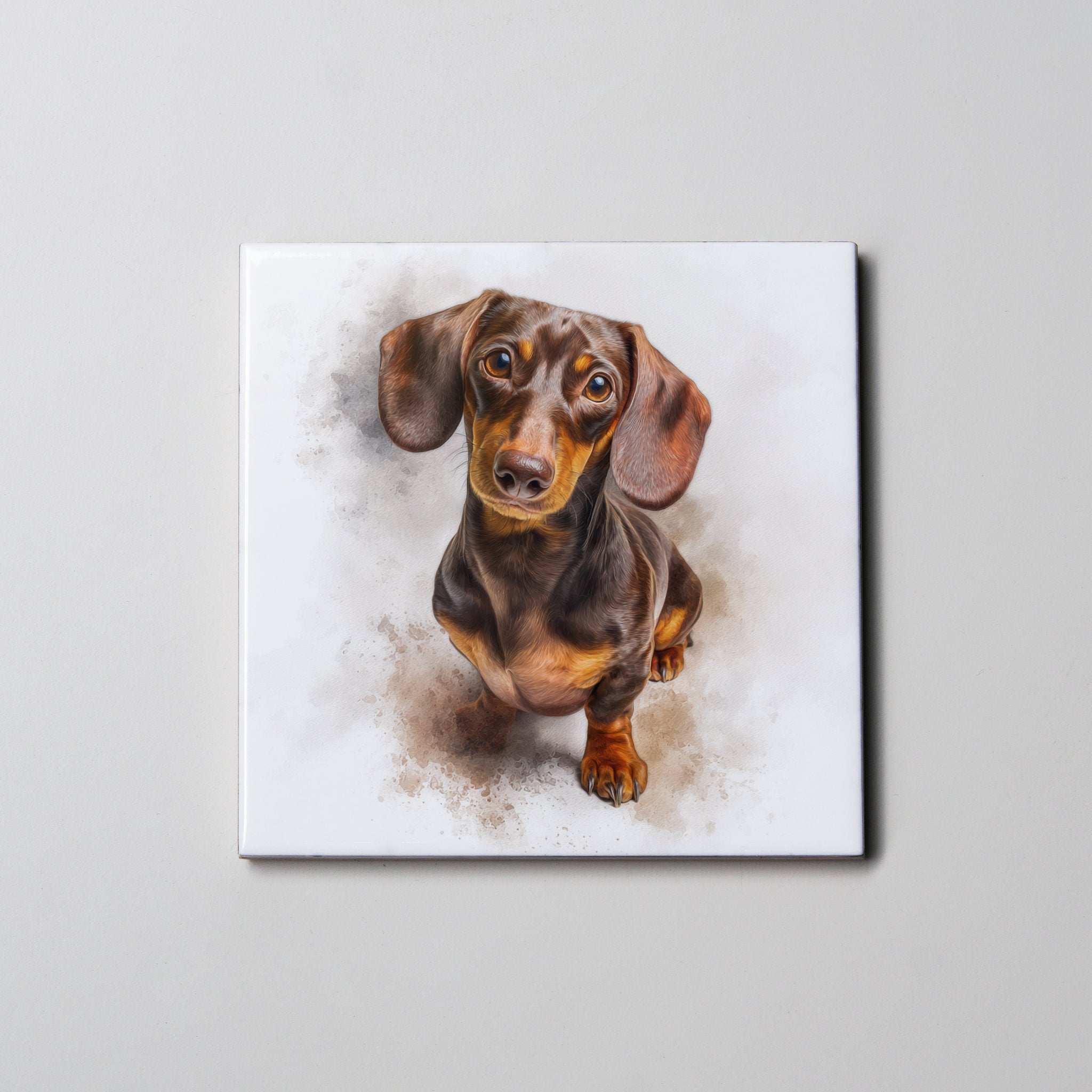Dachshund Brown & Tan sitting - Coaster