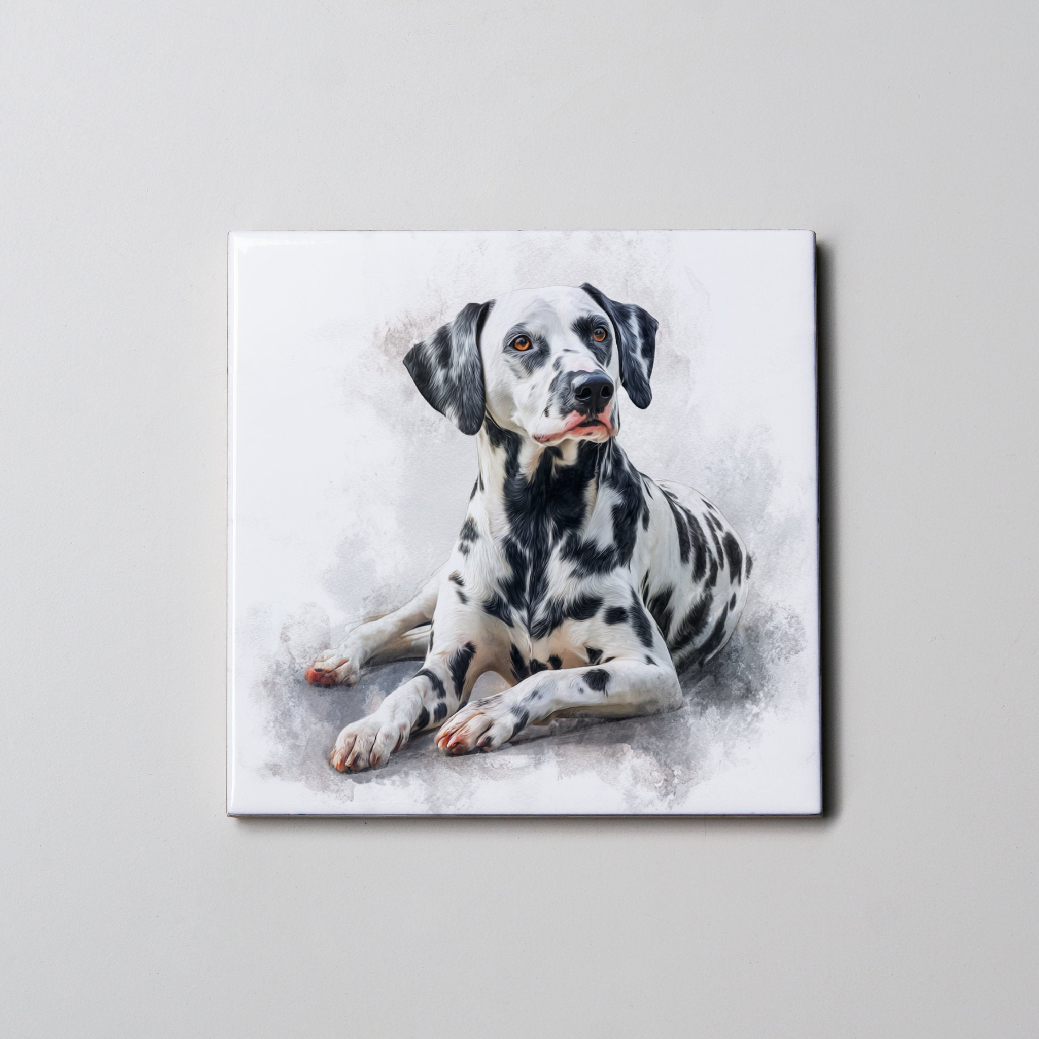 Dalmatian - Lying Down - Coaster