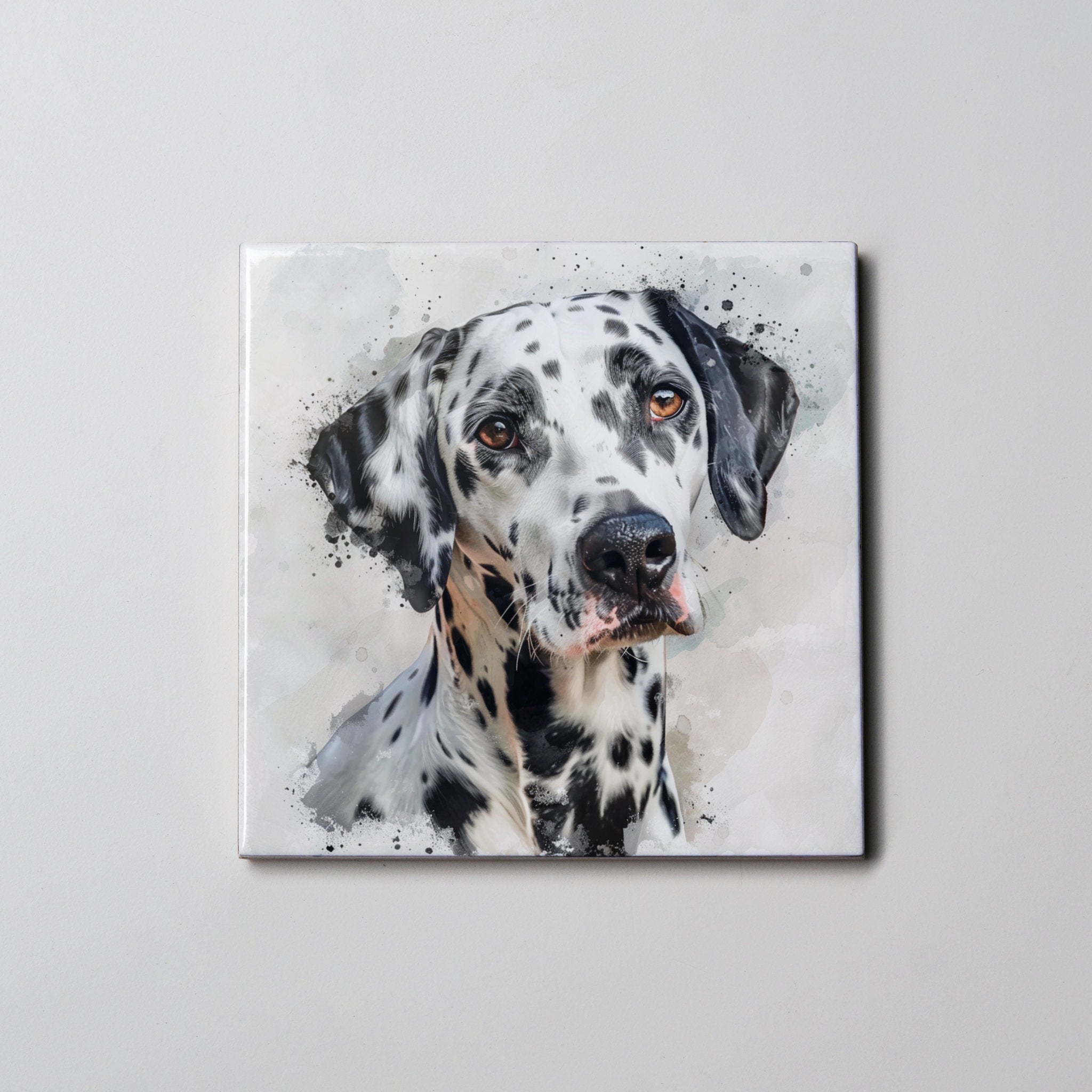 Dalmatian - Portrait - Coaster