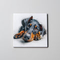 Doberman - Lying Down - Coaster