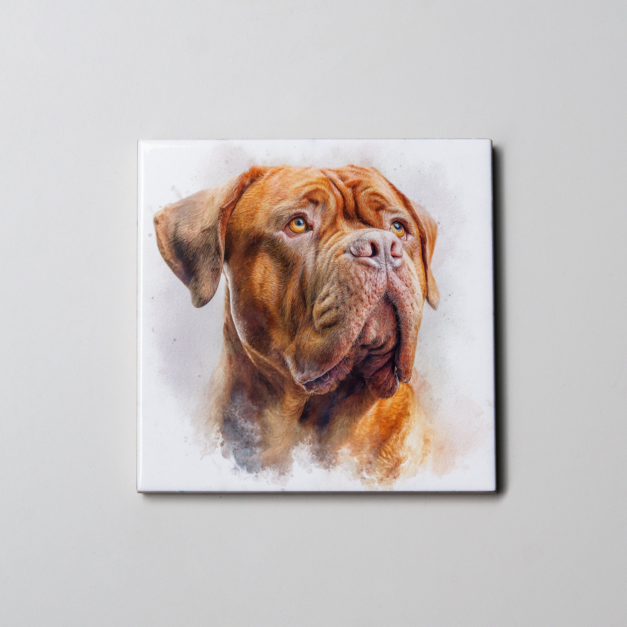 Dogue de Bordeaux - Portrait - Coaster