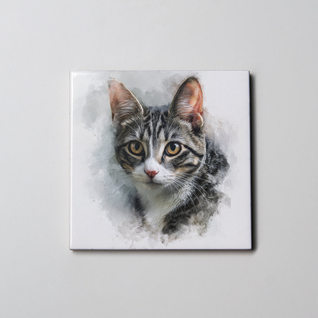 Domestic Short-hair Grey LL - Coaster