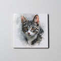 Domestic Short-hair Grey LL - Coaster