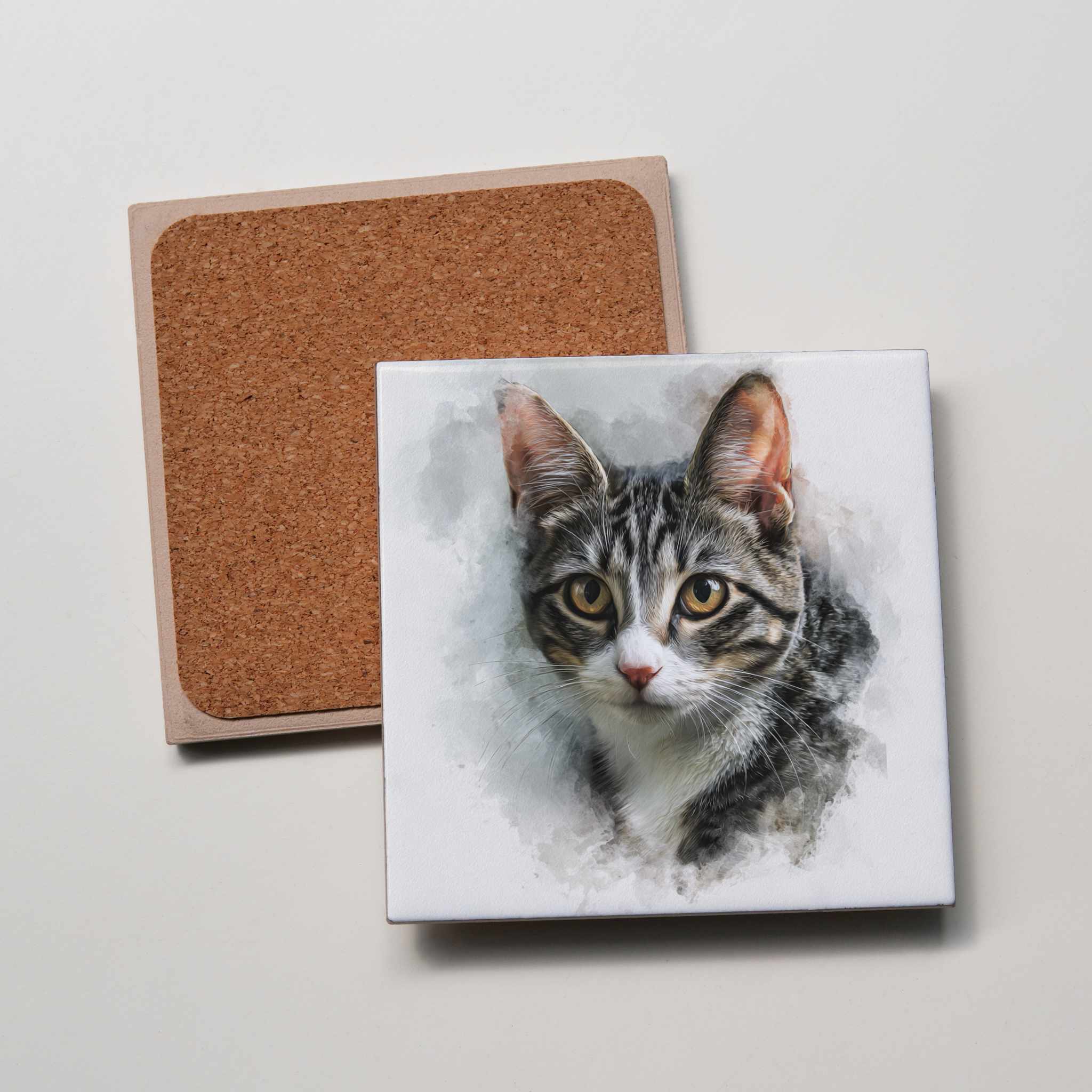 Domestic Short-hair Grey LL - Coaster