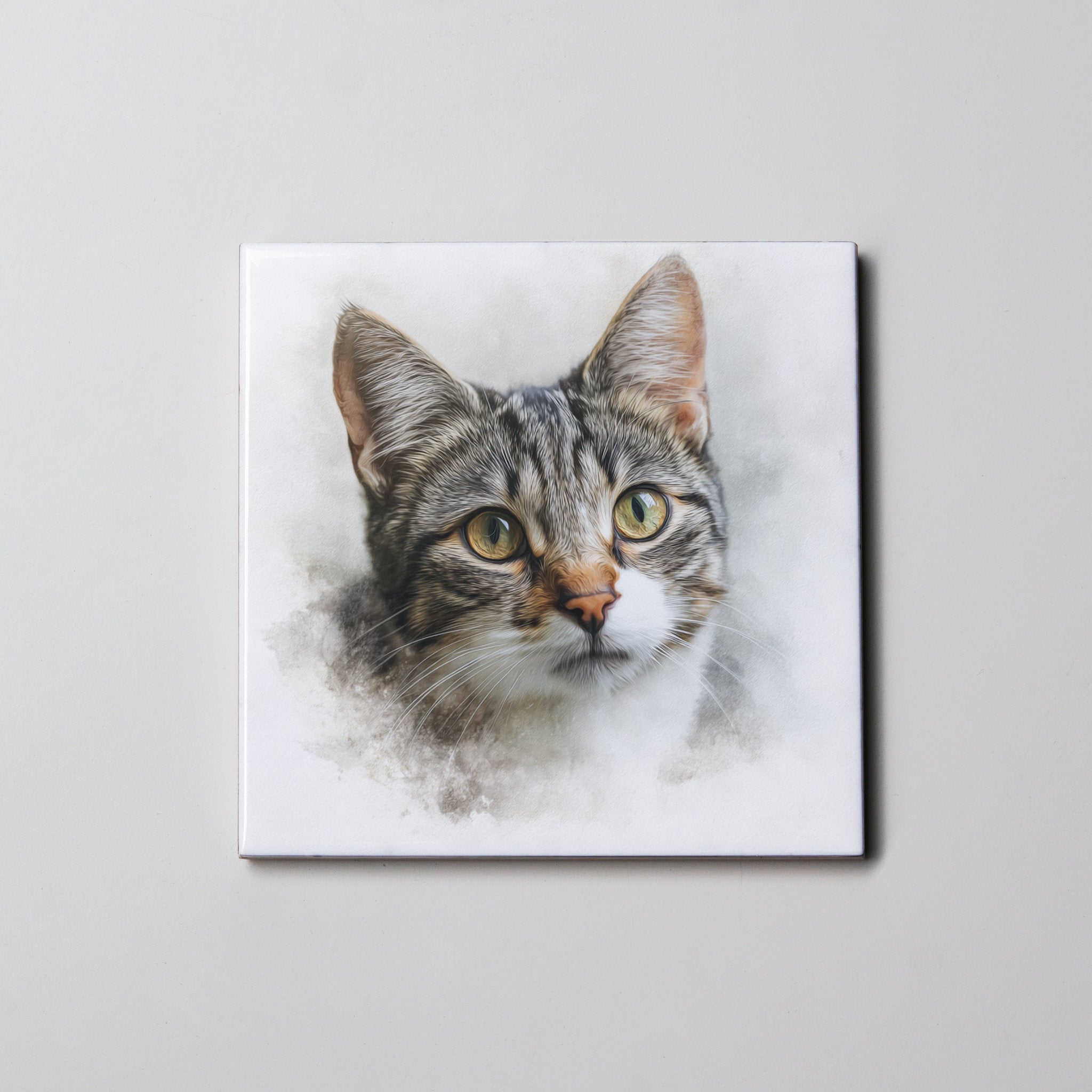 Domestic Short-hair LR - Coaster