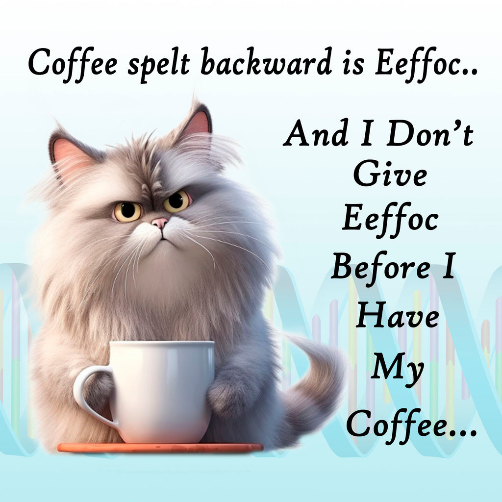 EEffoc Cat Coaster