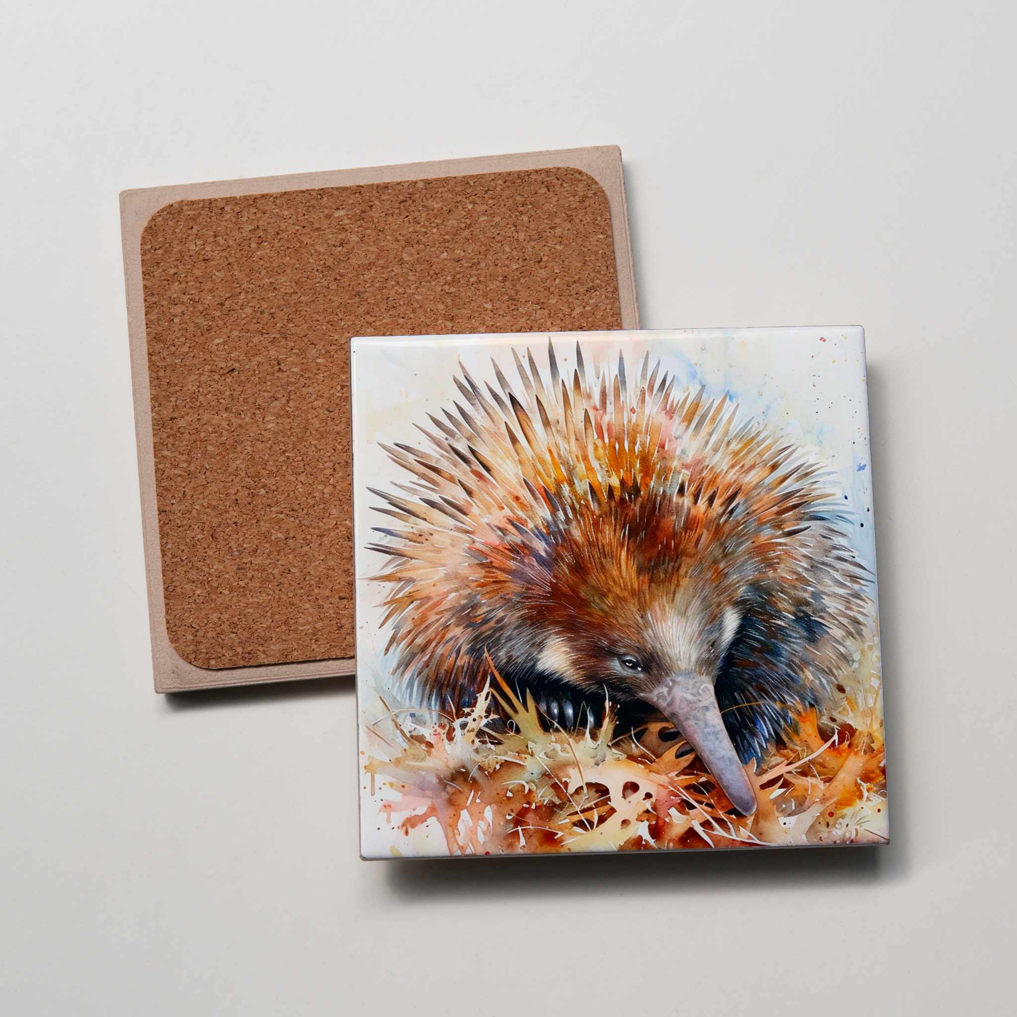 Echidna - leaves - Coaster