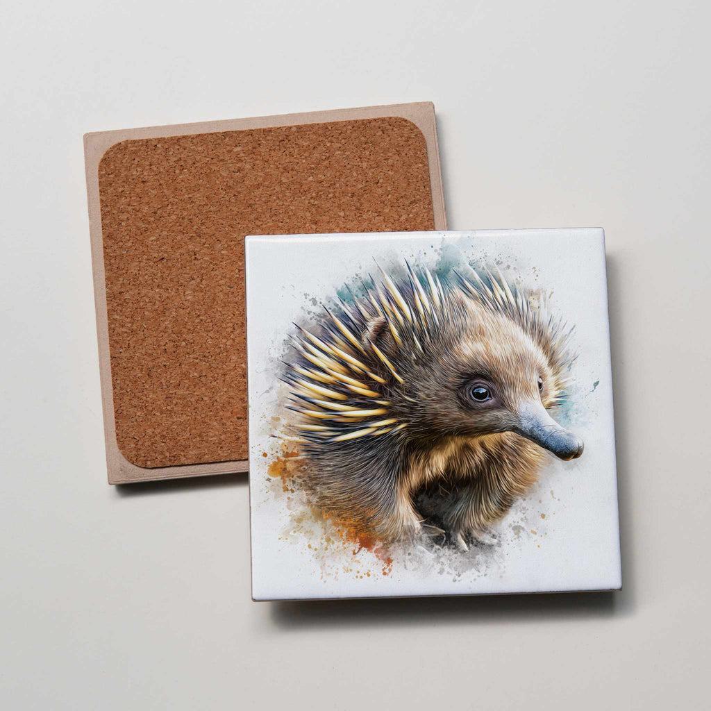 Echidna Right - Coaster